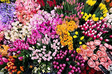 一战生存恐怖游戏《战壕惊魂》现已在PC和主机平台发布