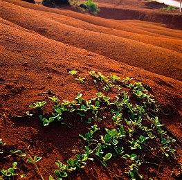 前《上古卷轴》开发者新作《任性王国》处于早期开发阶段 玩家还要再等几年